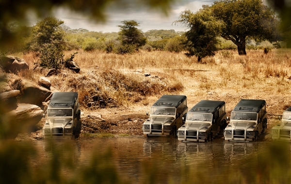 Photograph Tom Wittkemper Landrover Whaterhole Drinking on One Eyeland